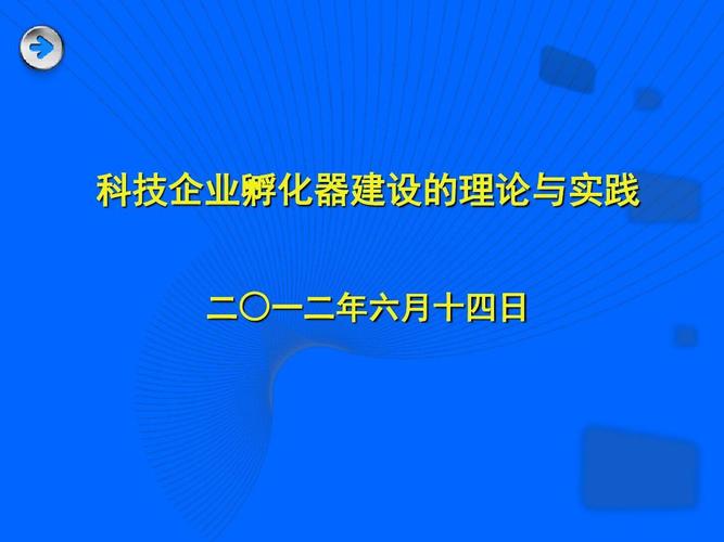 科技企业孵化器建设的理论与实践 孵化服务的核心机制与发展路径